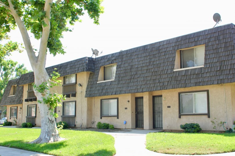 White Oak Riverside CA